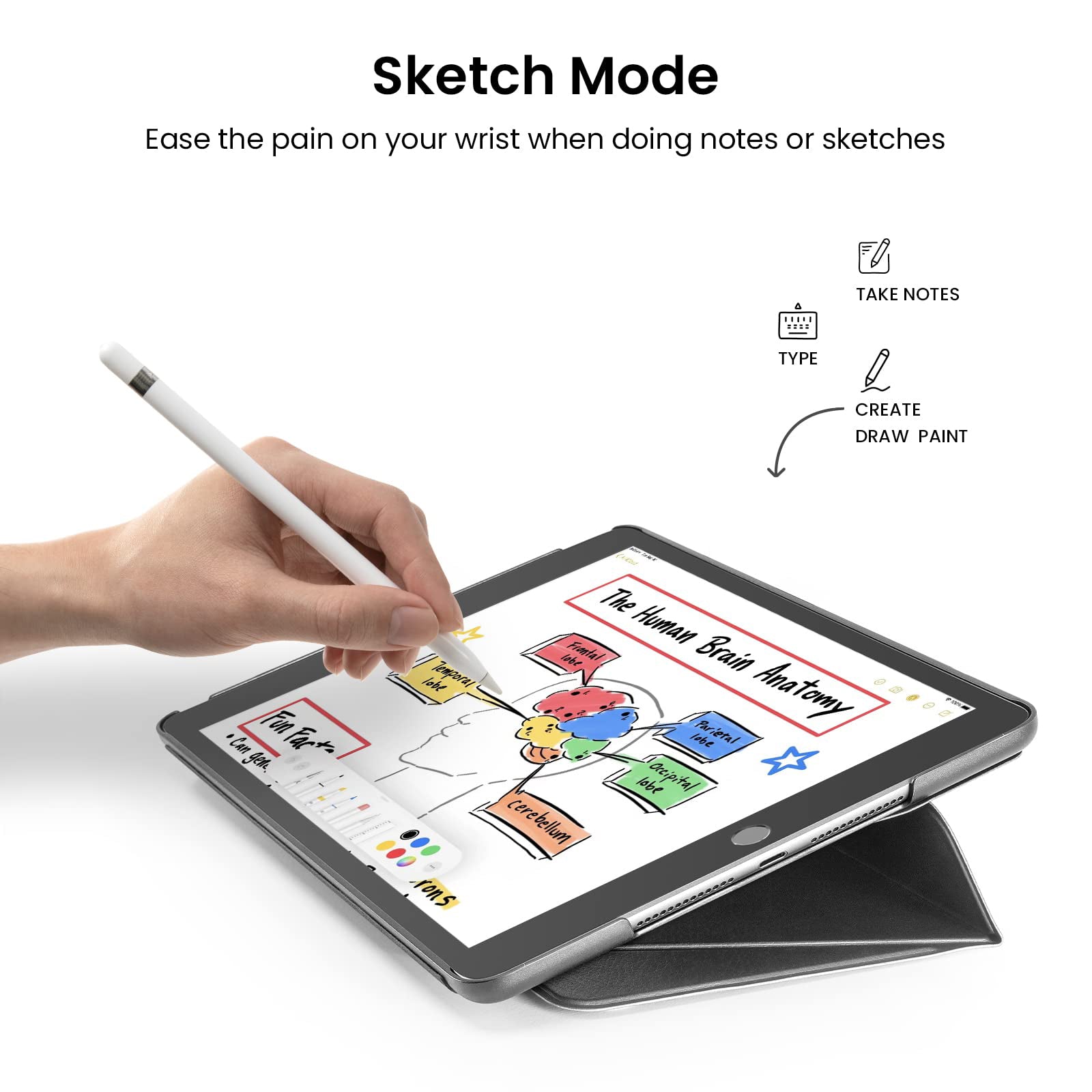 tomtoc 10.2 Inch Protective Smart-Tri Case - iPad 9th Gen 2019-2021 - Gray
