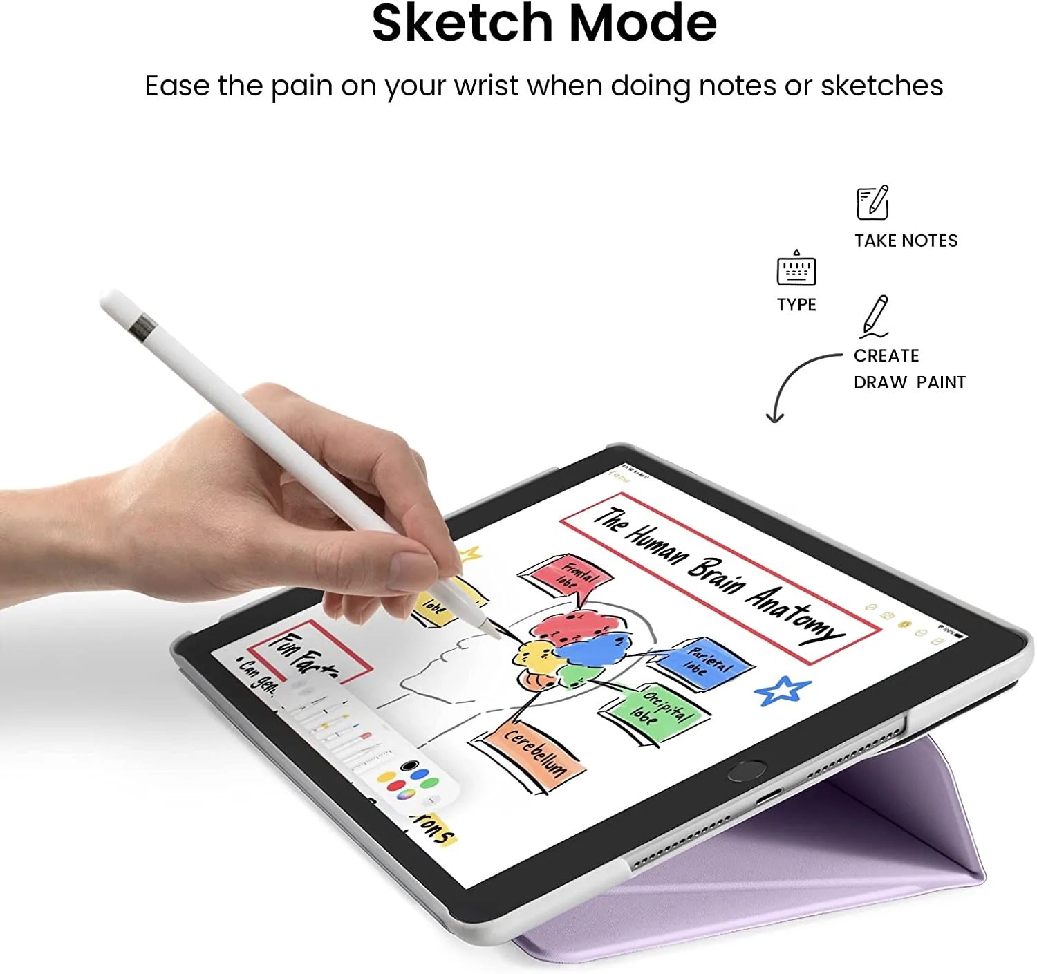 tomtoc 10.2 Inch Protective Smart-Tri Case - iPad 9th Gen 2019-2021 - Purple